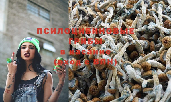 гидропоника Кинешма