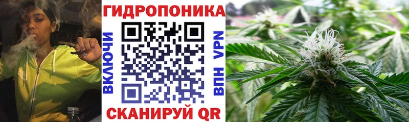 Купить закладки  Северск  Конопля план 